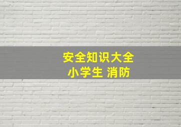 安全知识大全 小学生 消防